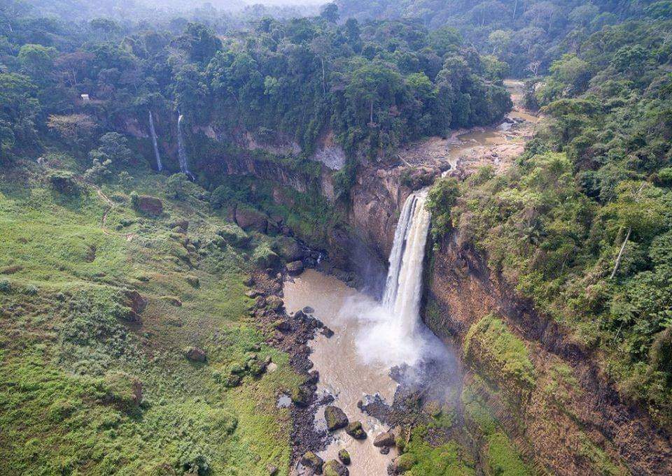 65194324_1392957177509225_1129849094911557632_n