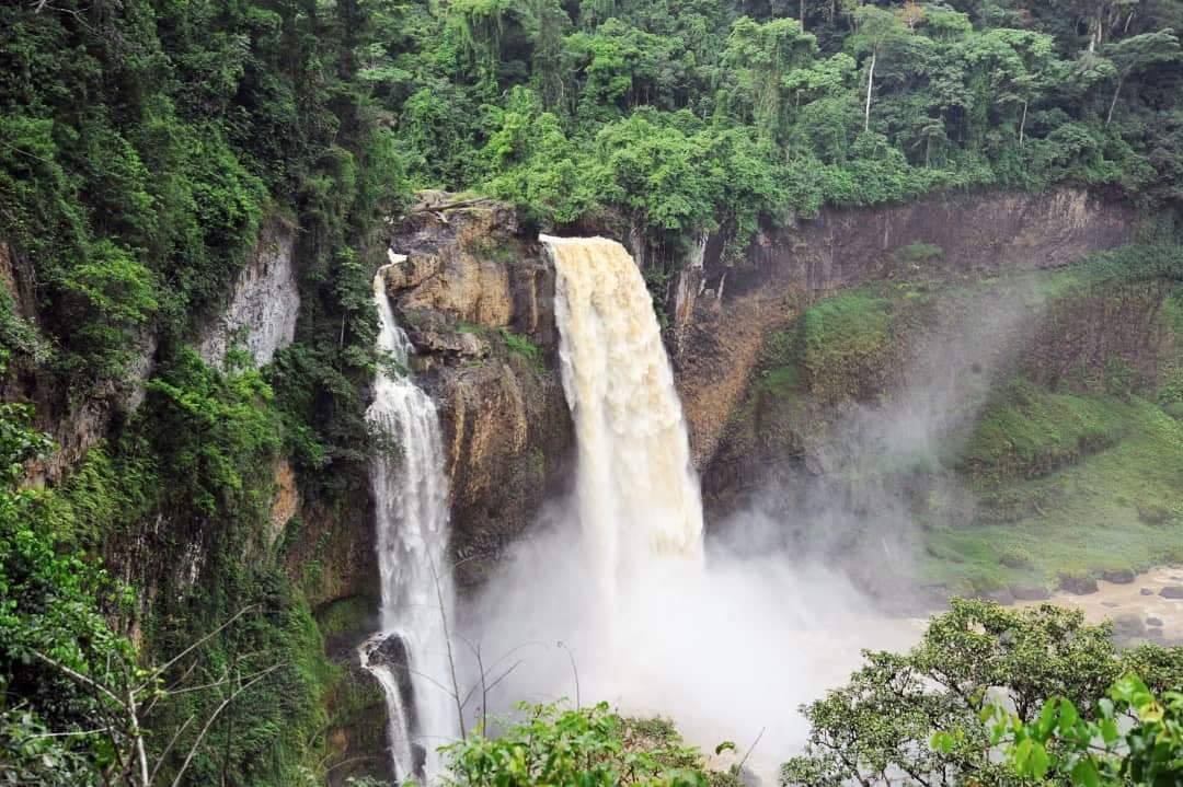 65305315_1392957234175886_4930396458923851776_n