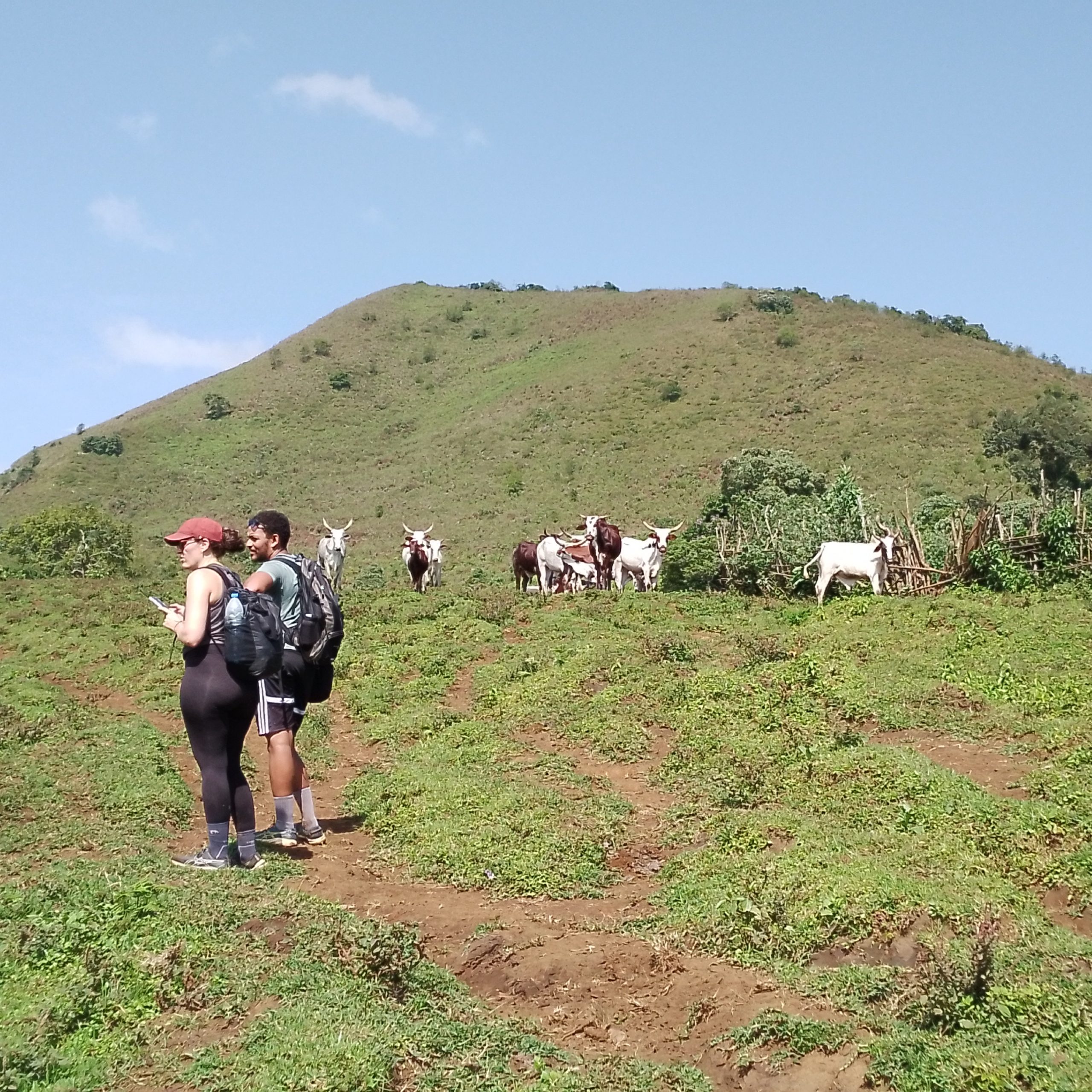 IMG_20241106_094250_410-scaled